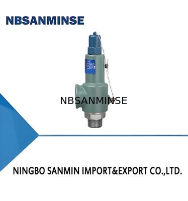 लोहे की सुरक्षा वाल्व 35 बार के दबाव के साथ फ्रिंज कुंजी